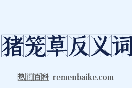 猪笼草反义词是什么意思的图片